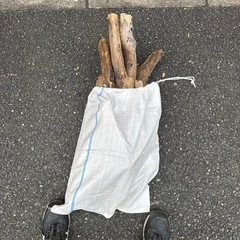 流木 インテリアにどうでしょうか。の画像