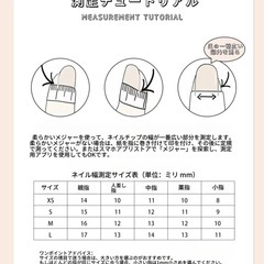 多種類ネイルチップの画像