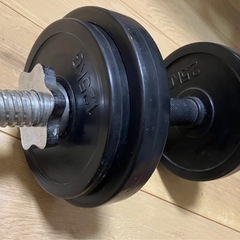 ダンベル10kg　　の画像