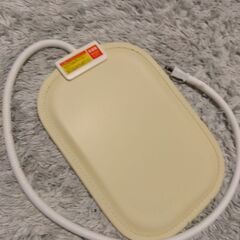 ペット　ホットカーペットの画像