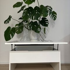 収納付きコーヒーテーブル（48×63×90cm）の画像