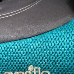 Evenflo チャイルドシート（ジュニアシート）の画像