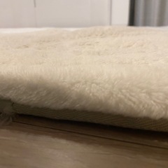 カーペットの画像