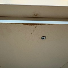 【11/27限定】ニトリ キッチンボード 食器棚 ホワイト 高さ190cm 柏市内お届け可の画像