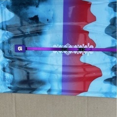 美品　BURTON FEATHER44 バートン板　144cm ２回のみ使用　レディースの画像