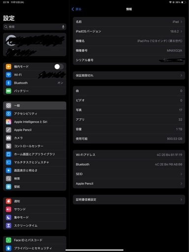 ipad pro 第6世代 1TB