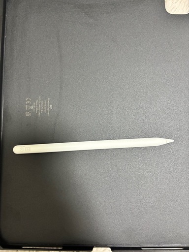 ipad pro 第6世代 1TB