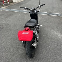 実動　ズーマーの画像