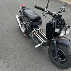 実動　ズーマーの画像