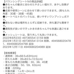 リッチェル　バウンサー　限定色ブルー【美品】の画像
