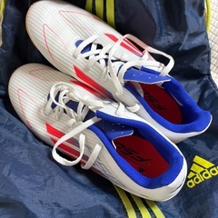adidasフットサル用しゅーシューズの画像