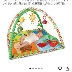 はらぺこあおむし　ベビージムの画像