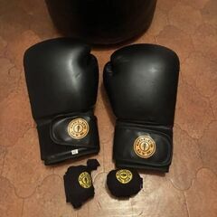 ゴールドジム サンドバッグの画像