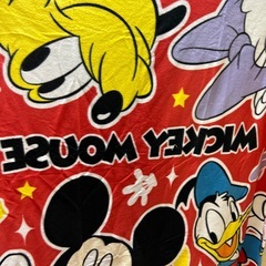 大きいブランケットの画像