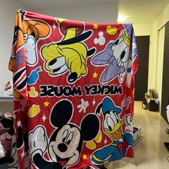 大きいブランケットの画像