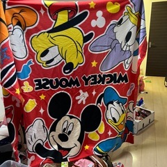 大きいブランケットの画像