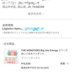 【決まりました】ラブブ キーホルダーの画像