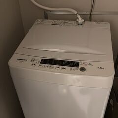 ハイセンス 洗濯機（5.5kg・2024年製）の画像