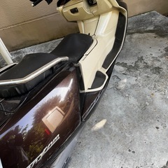 マグザムの画像