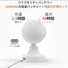 自動猫おもちゃ LEDライト ポインター 光るおもちゃ 充電式の画像