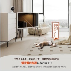 自動猫おもちゃ LEDライト ポインター 光るおもちゃ 充電式の画像