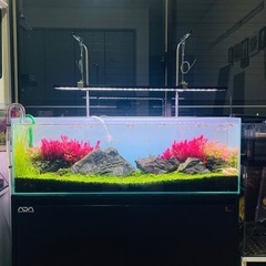 レイアウト組み立て済み90cm
水槽セットの画像