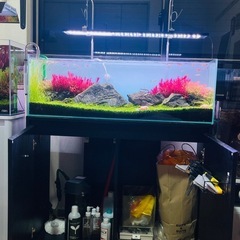 レイアウト組み立て済み90cm
水槽セットの画像