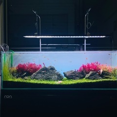 レイアウト組み立て済み90cm
水槽セットの画像