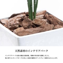 【美品】フェイクグリーン ハラン 95cm 光触媒 観葉植物 インテリア 大型の画像
