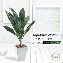 【美品】フェイクグリーン ハラン 95cm 光触媒 観葉植物 インテリア 大型の画像