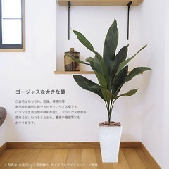 【美品】フェイクグリーン ハラン 95cm 光触媒 観葉植物 インテリア 大型の画像