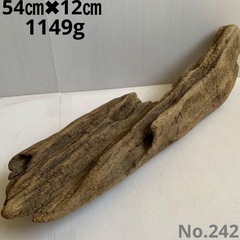 流木２枚.３枚目の画像