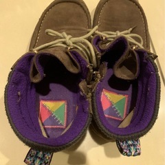 ワラビー、ELLESPORTの画像