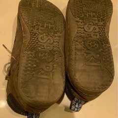 ワラビー、ELLESPORTの画像