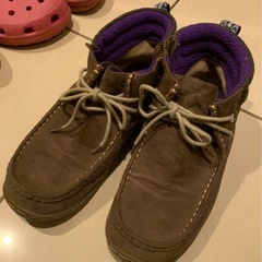 ワラビー、ELLESPORTの画像