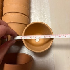 鉢まとめての画像