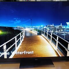 無料配送 2019年 65V型 PanasonicVIERA 4K有機ELTV TH-65GZ2000 HDR10 Youtube NETFLIX 多機能音声リモコンの画像
