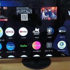 無料配送 美品22年 55型 PanasonicVIERA ビエラ TH-55JZ1000 4K有機ELTV HDR10 Youtube NETFLIX 多機能音声リモコンの画像