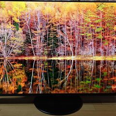 無料配送 美品22年 55型 PanasonicVIERA ビエラ TH-55JZ1000 4K有機ELTV HDR10 Youtube NETFLIX 多機能音声リモコンの画像