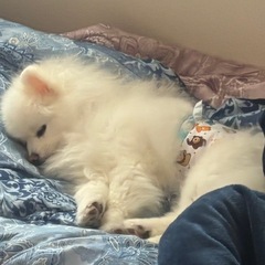 親友⊂((・x・))⊃