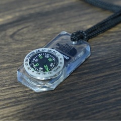 ノースフェイス×シュプリーム コンパスねっくれネックレスの画像