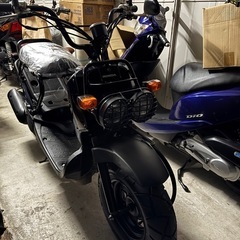 4350.展示車両　ズーマー50 新品パーツ多数　タイヤも前後新品　千葉県柏市　即日配送、自走引き取りも可能の画像