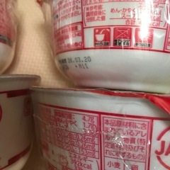 白い力もちうどん4個の画像