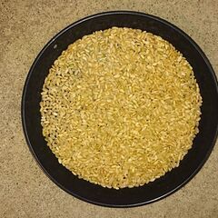 令和７年　宮城県登米市産ひとめぼれ　新米　玄米30キロの画像