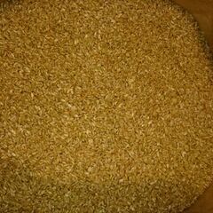 令和７年　宮城県登米市産ひとめぼれ　新米　玄米30キロの画像