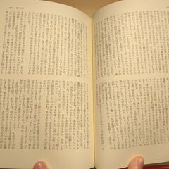 『嵐が丘　詩』E.ブロンテ　講談社の画像