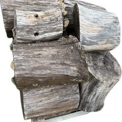 🪵丸太🪵　玉切り済みの画像