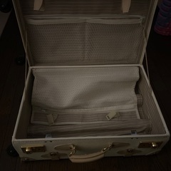 キャリーバッグ　可愛いの画像