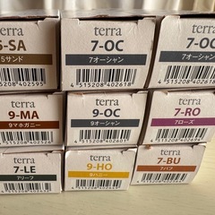 テラ エッセンシティ カラー剤 21本セットの画像