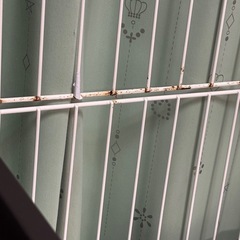 キャットゲージの画像